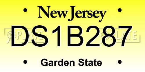 DS1B287 New Jersey License Plate
