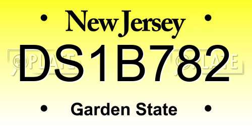 DS1B782 New Jersey License Plate