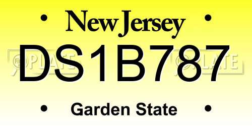 DS1B787 New Jersey License Plate