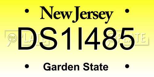 DS1I485 New Jersey License Plate
