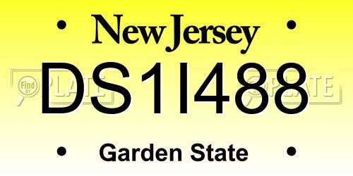DS1I488 New Jersey License Plate