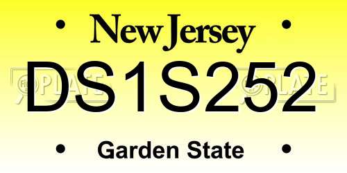 DS1S252 New Jersey License Plate