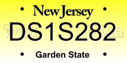DS1S282 New Jersey License Plate