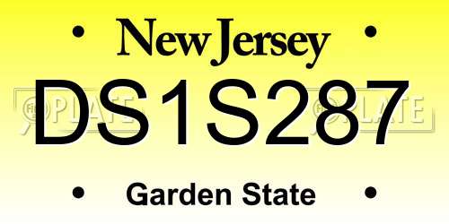 DS1S287 New Jersey License Plate