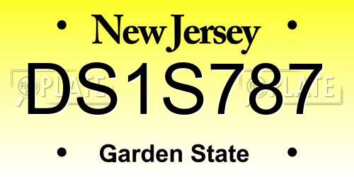 DS1S787 New Jersey License Plate