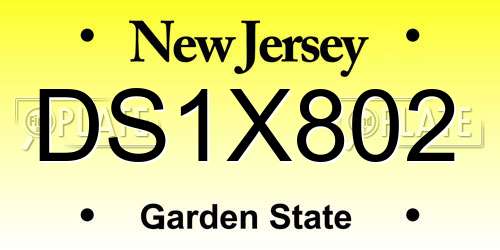 DS1X802 New Jersey License Plate