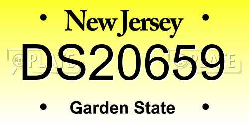 DS20659 New Jersey License Plate