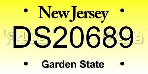 DS20689 New Jersey License Plate