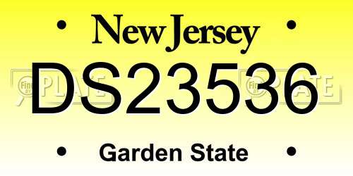 DS23536 New Jersey License Plate
