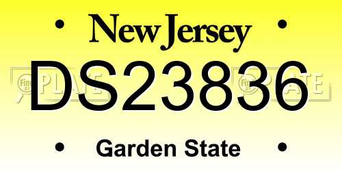 DS23836 New Jersey License Plate