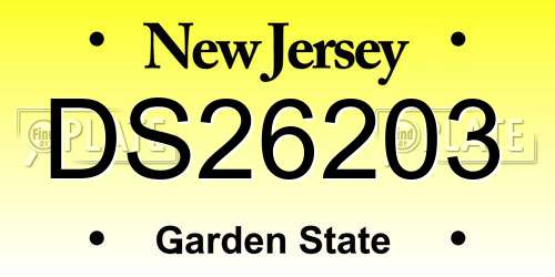 DS26203 New Jersey License Plate