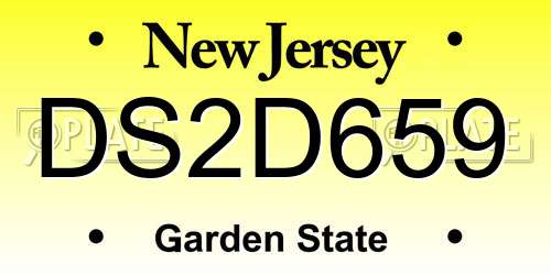 DS2D659 New Jersey License Plate