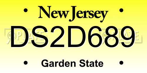 DS2D689 New Jersey License Plate