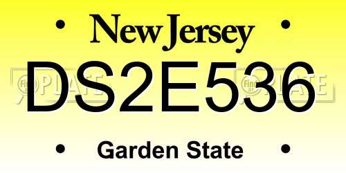DS2E536 New Jersey License Plate
