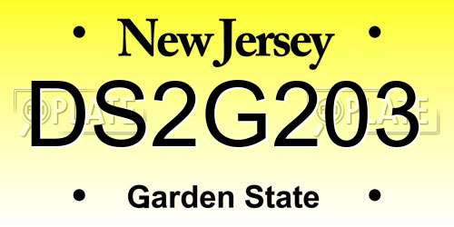 DS2G203 New Jersey License Plate