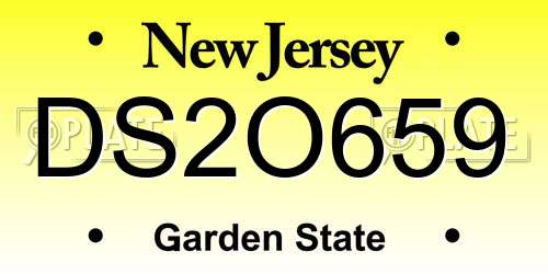 DS2O659 New Jersey License Plate