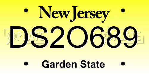 DS2O689 New Jersey License Plate