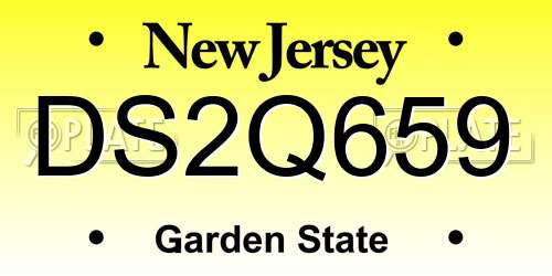 DS2Q659 New Jersey License Plate