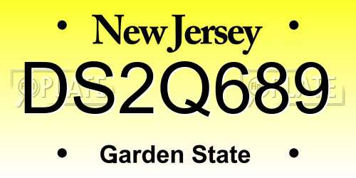 DS2Q689 New Jersey License Plate