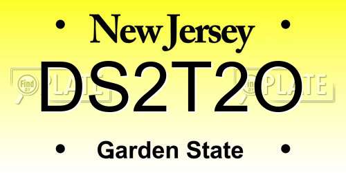 DS2T2O New Jersey License Plate