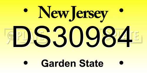 DS30984 New Jersey License Plate