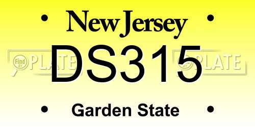 DS315 New Jersey License Plate