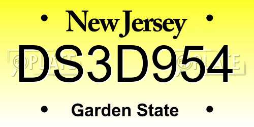 DS3D954 New Jersey License Plate