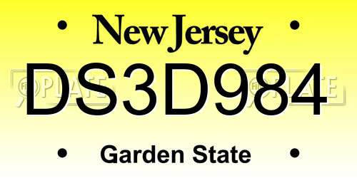 DS3D984 New Jersey License Plate