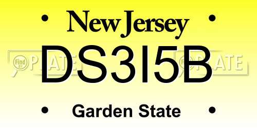 DS3I5B New Jersey License Plate