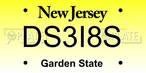 DS3I8S New Jersey License Plate