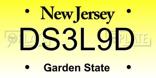 DS3L9D New Jersey License Plate