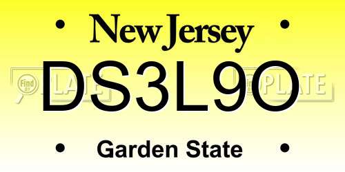 DS3L9O New Jersey License Plate