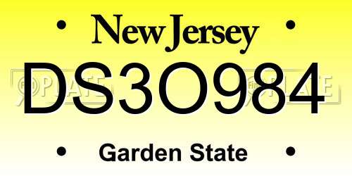 DS3O984 New Jersey License Plate