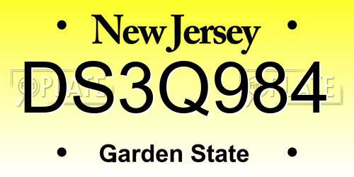 DS3Q984 New Jersey License Plate