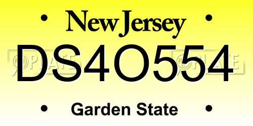 DS4O554 New Jersey License Plate