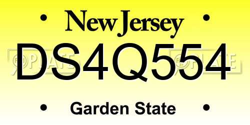 DS4Q554 New Jersey License Plate