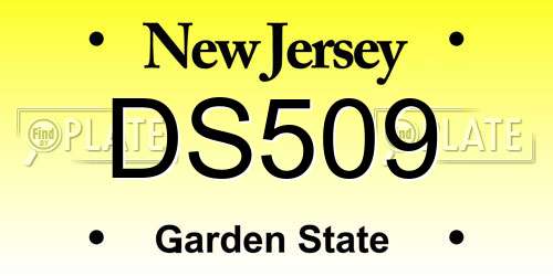 DS509 New Jersey License Plate
