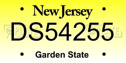 DS54255 New Jersey License Plate
