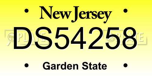 DS54258 New Jersey License Plate