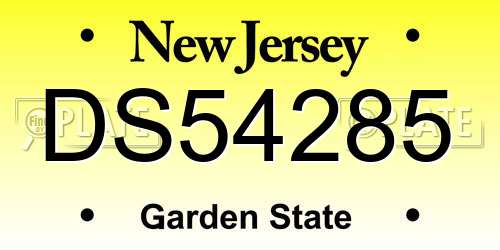 DS54285 New Jersey License Plate