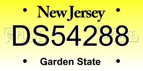 DS54288 New Jersey License Plate