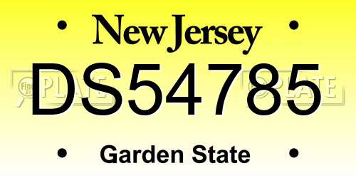 DS54785 New Jersey License Plate