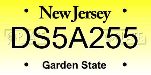 DS5A255 New Jersey License Plate