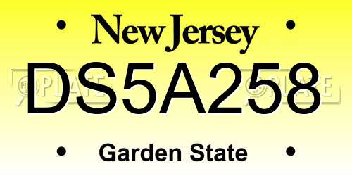 DS5A258 New Jersey License Plate