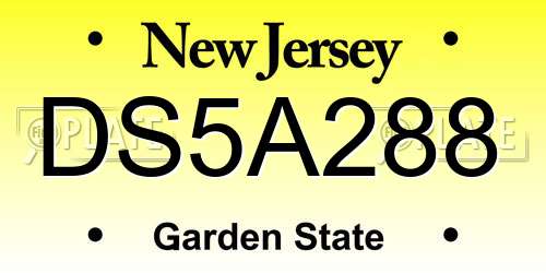 DS5A288 New Jersey License Plate