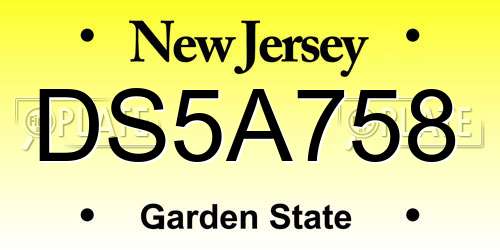 DS5A758 New Jersey License Plate