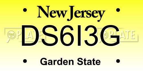 DS6I3G New Jersey License Plate