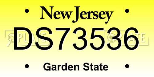 DS73536 New Jersey License Plate