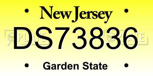 DS73836 New Jersey License Plate