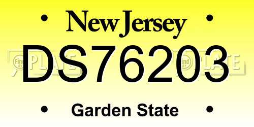 DS76203 New Jersey License Plate